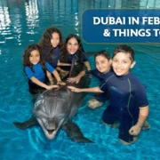 Dubai in February & Things to Do