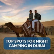 Best spots for night camping in Dubai