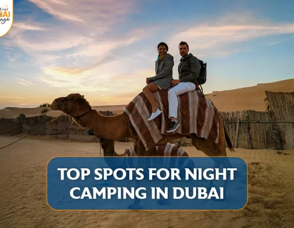 Top Spots for Night Camping in Dubai