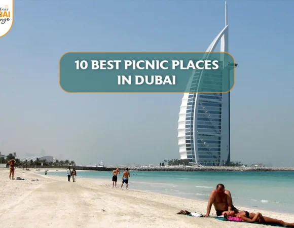 10 Best Picnic Places in Dubai