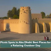 Picnic Spots in Abu Dhabi: Best Places for a Relaxing Outdoor Day