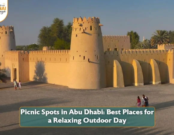 Picnic Spots in Abu Dhabi: Best Places for a Relaxing Outdoor Day